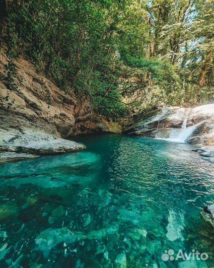 Экскурсии в Сочи, Абхазию и др