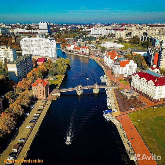 Скрипач на мероприятии