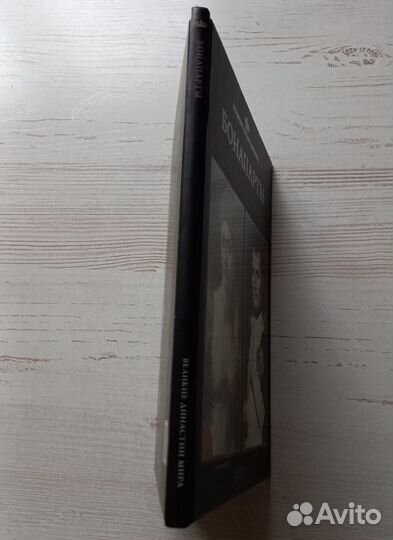 Книга. Великие династии мира. Бонапарты.Биография