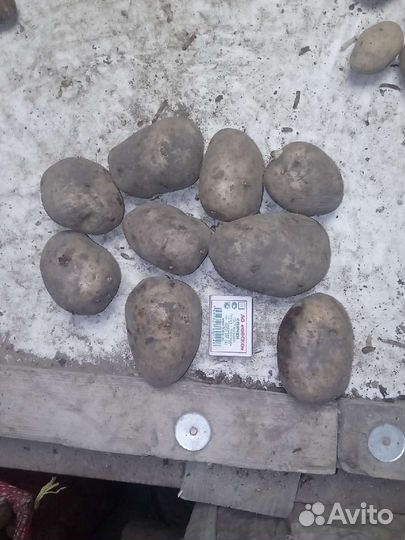 Доставка продуктов питания