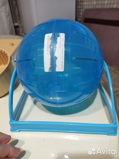 Шар, домик, и круг для бега