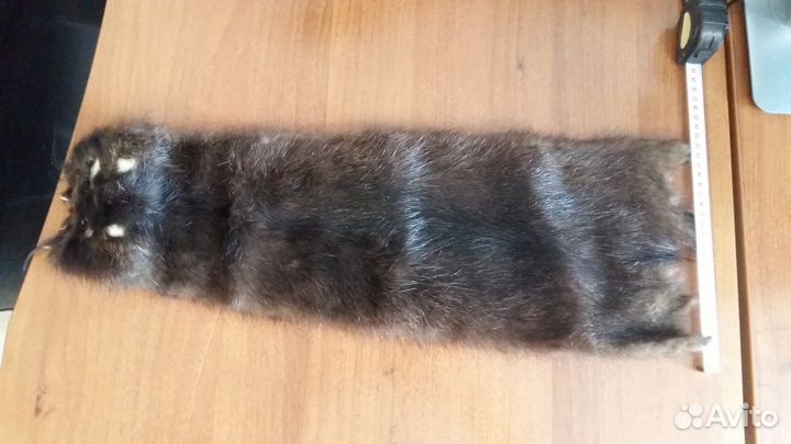 Шкурка нутрии (чулок)