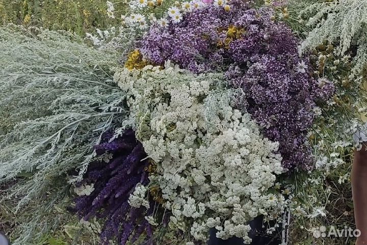 Тибетский сбор трав «Вечная молодость»