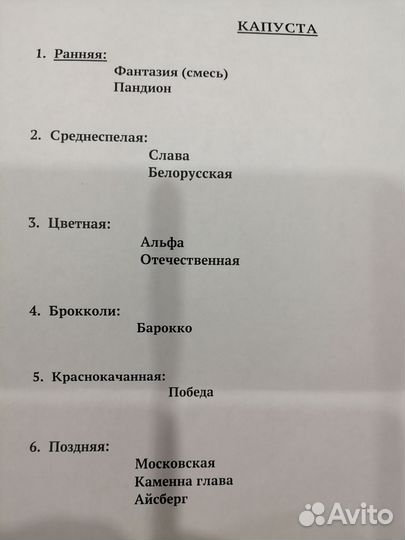 Рассада овощей и цветов