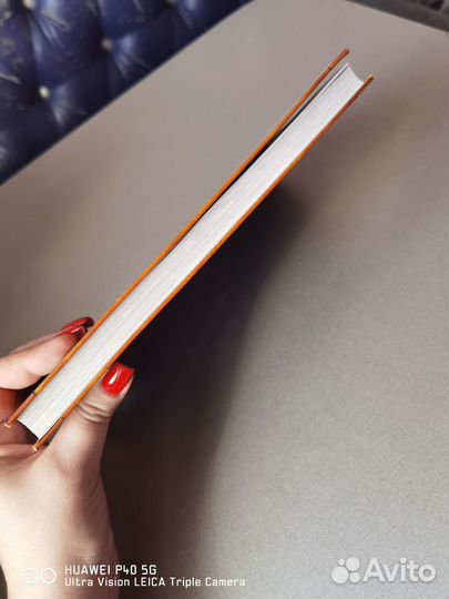 Коты воители секреты племён