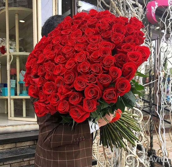 101 роза цветы букеты доставка 25 51 101 роза