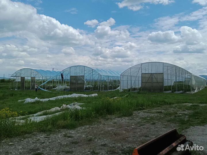 Промышленные теплицы