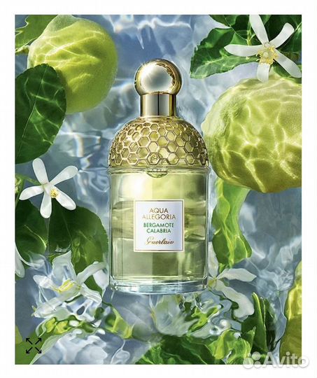Аромат Guerlain aqua allegoria bergamote calabria