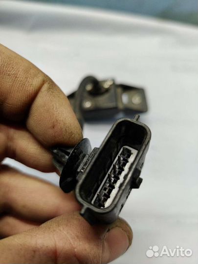 Камера переднего вида Infiniti FX37 S51