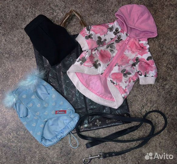 Одежда для маленьких собак