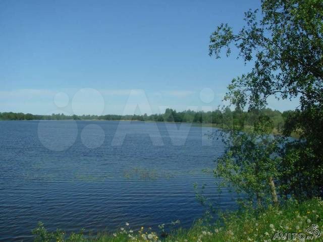 Участок 36 сот. (ИЖС)