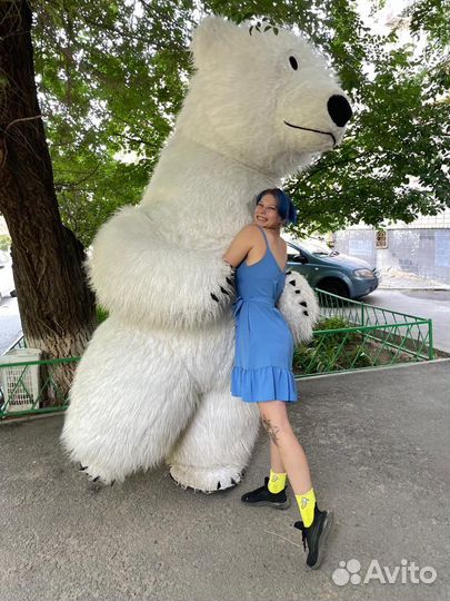 Поздравление от большого белого медведя/панды