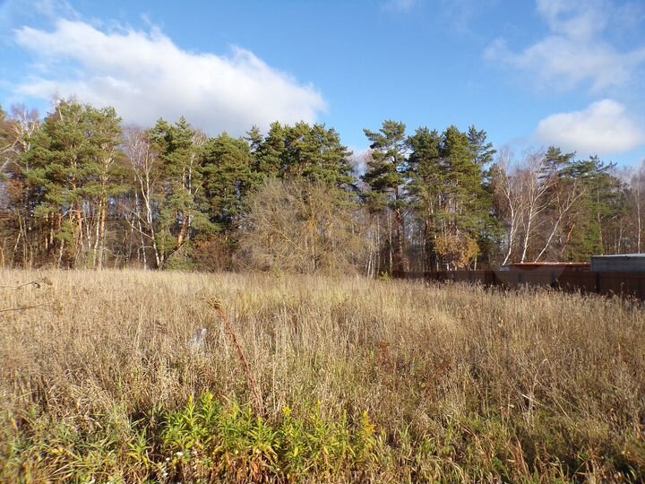 Участок 10 сот. (ИЖС)