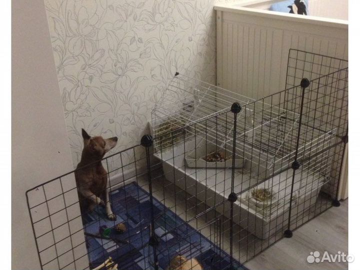 Вольер для собак