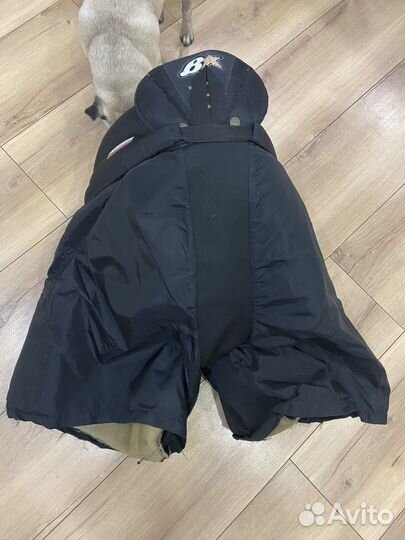 Хоккейные шорты brains pro sr (размер xl)