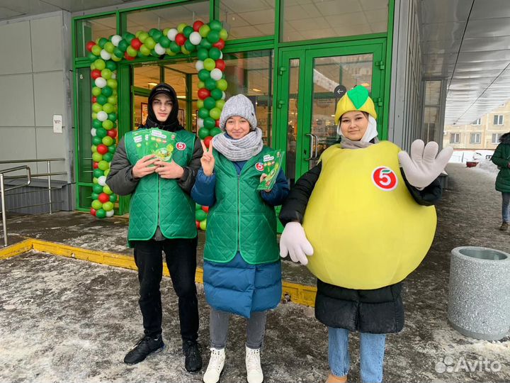 Услуги промоутера, ростовая кукла, ведущий