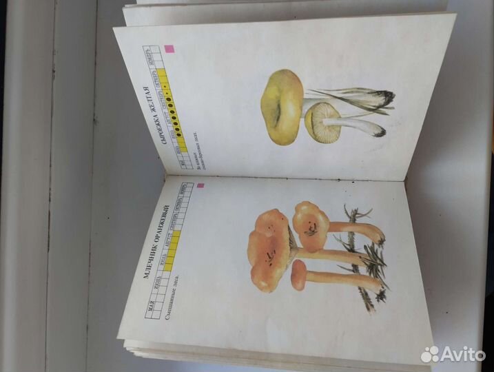 Справочник грибника