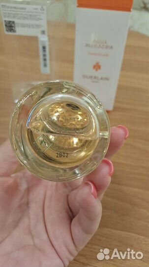 Guerlain aqua allegoria Pamplelune
