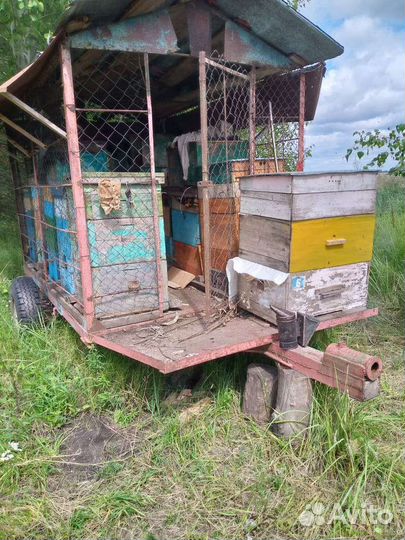Продается пасека