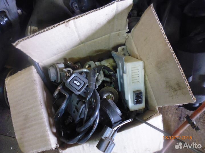 Хонда црв 1 мозги