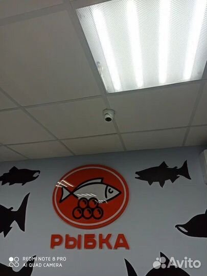 Оборудование для интернета в дом / для бизнеса