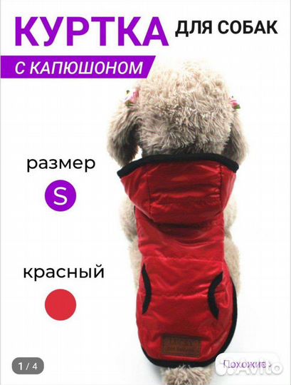 Новый жилет для собаки