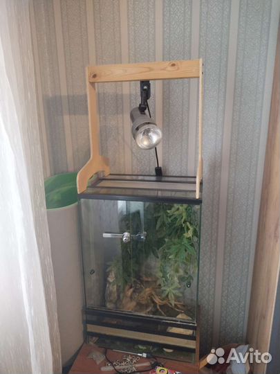 Террариум для рептилий бу
