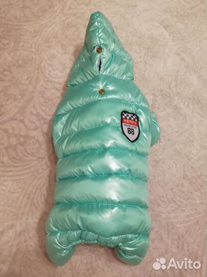 Одежда для собаки мелкой породы