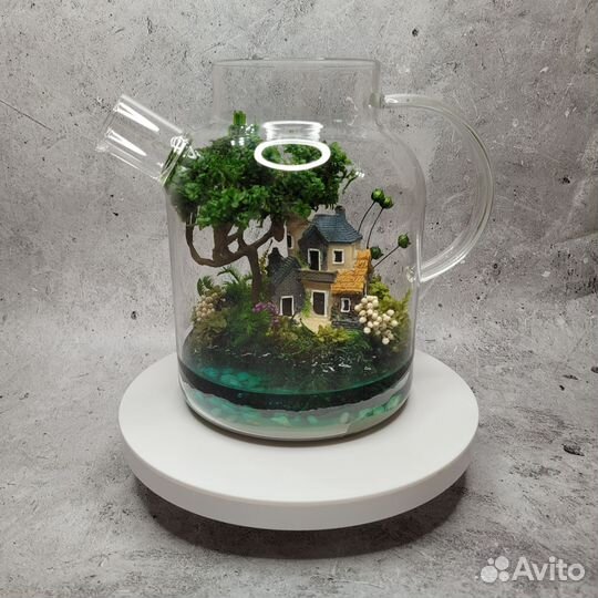 Моссариум в чайнике