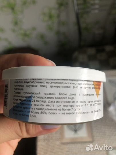 Туркменский таракан консервированный