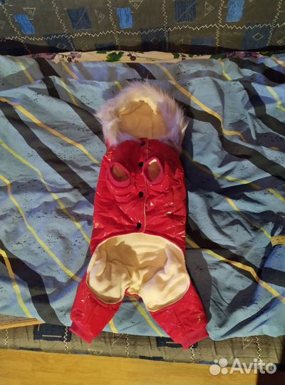 Зимний комбинезон для собак мелких пород