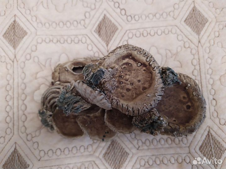 Грот для аквариума