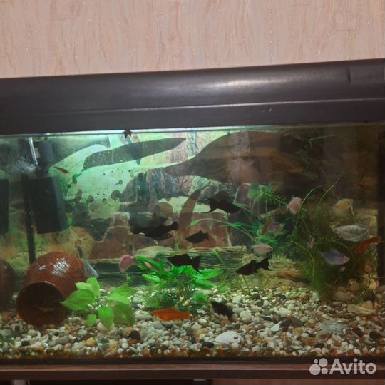 Аквариум с тумбой бу