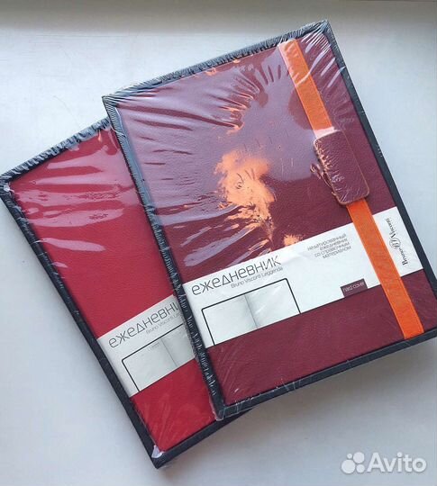 Ежедневник Bruno Visconti