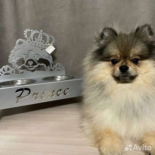 Подставка под миски для собак