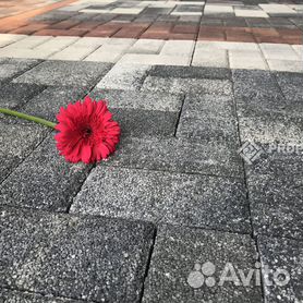 Тротуарная плитка купить в Воронеже, цена 30 руб. от ТСК АЛЬФА СТРОЙ — Проминдекс — ID