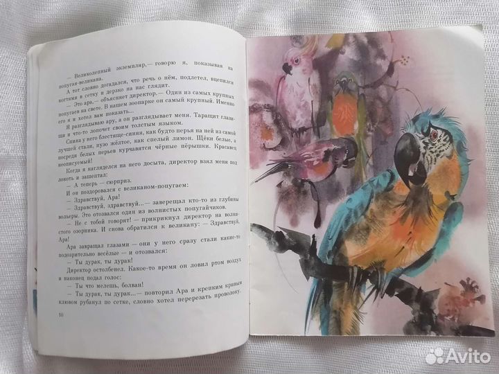 Рудо Мориц. Медвежонок родился