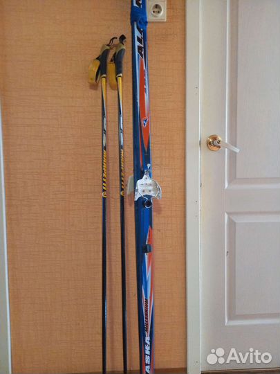 Лыжи беговые Alaska millennium