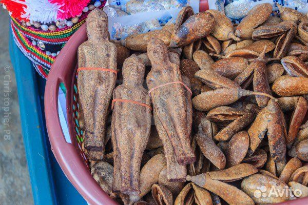 Плоды Нарипол корень талисман