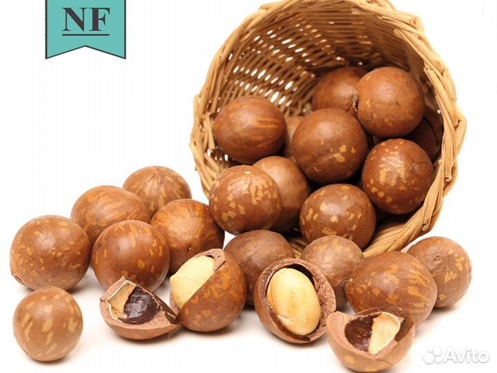 Макадамия неочищенная - оптом и в розницу