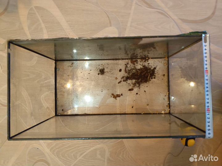 Аквариум с грунтом