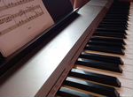 Обучение игре на фортепиано, репетиторство