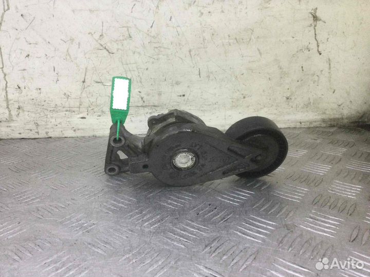 Натяжитель ремня генератора Volkswagen Sharan 0389