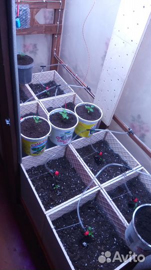 Контроллер теплицы