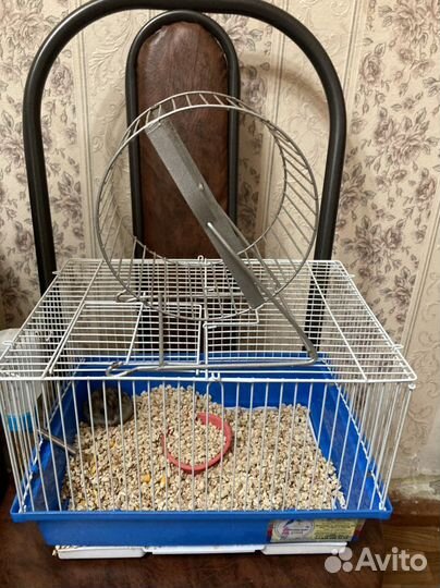 Клетка для грызунов