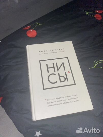 Книга «Ни Сы»