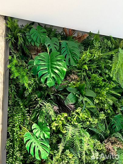 Аренда фитостен из растений