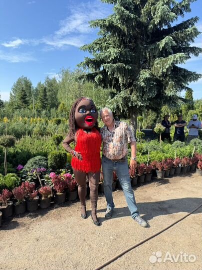 Ростовые куклы на праздник для взрослых