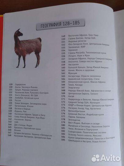 Энциклопедия школьника. 4000 очень важных фактов