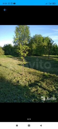 Участок 8 сот. (СНТ, ДНП)